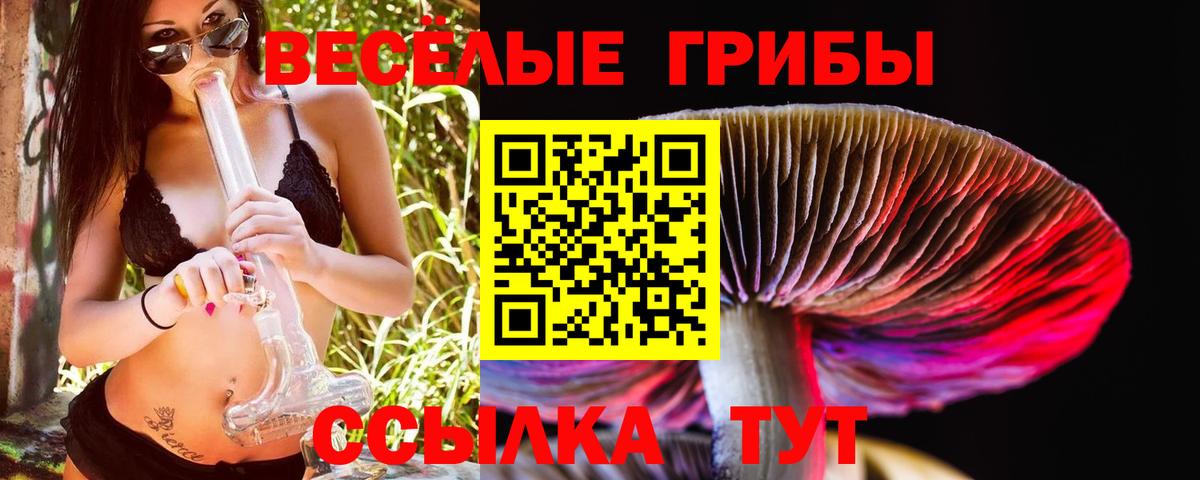 Галлюциногенные грибы мухоморы  Галлюциногенные грибы мухоморы  Ялуторовск  купить наркотики цена  Вход с VPN 